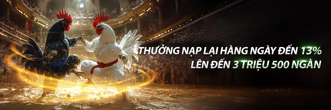 Khuyến mãi 88new hấp dẫn